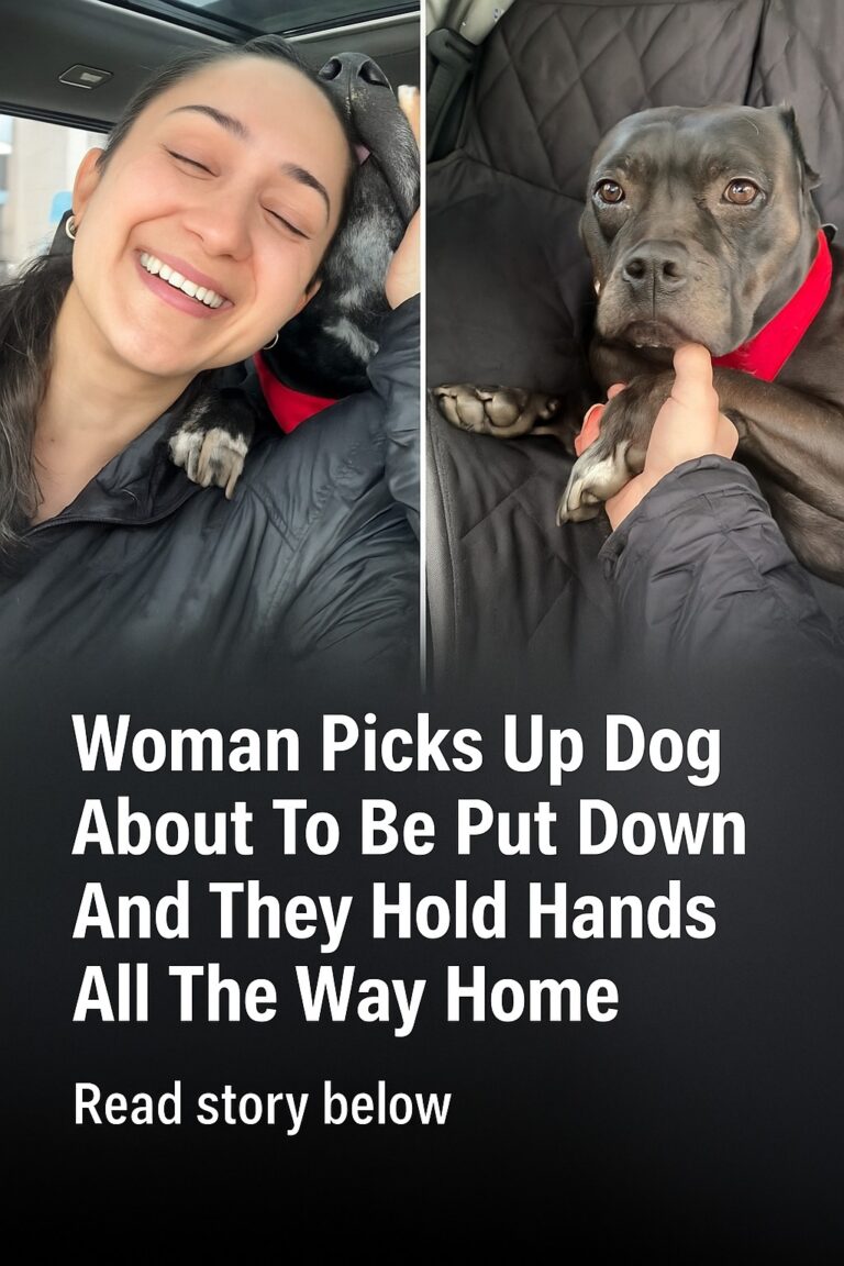 Woman Picks Up Dog About To Be Put Down And They Hold Hands All The Way Home
