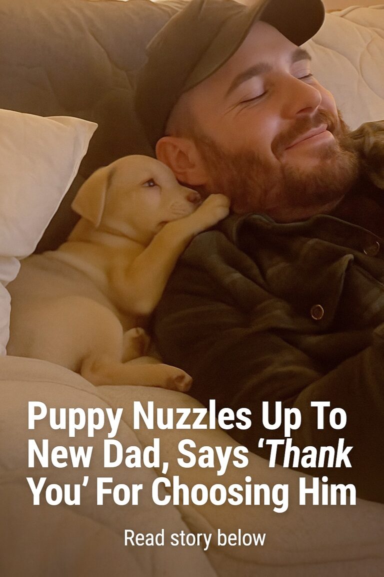 Puppy Nuzzles Up To New Dad, Says ‘Thank You’ For Choosing Him