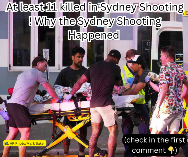 At least 11 killed in Sydney Shooting ! Why the Sydney Shooting Happened